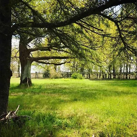 Domaine De Bouhémy - Ferme Napoléonienne Villa Solférino